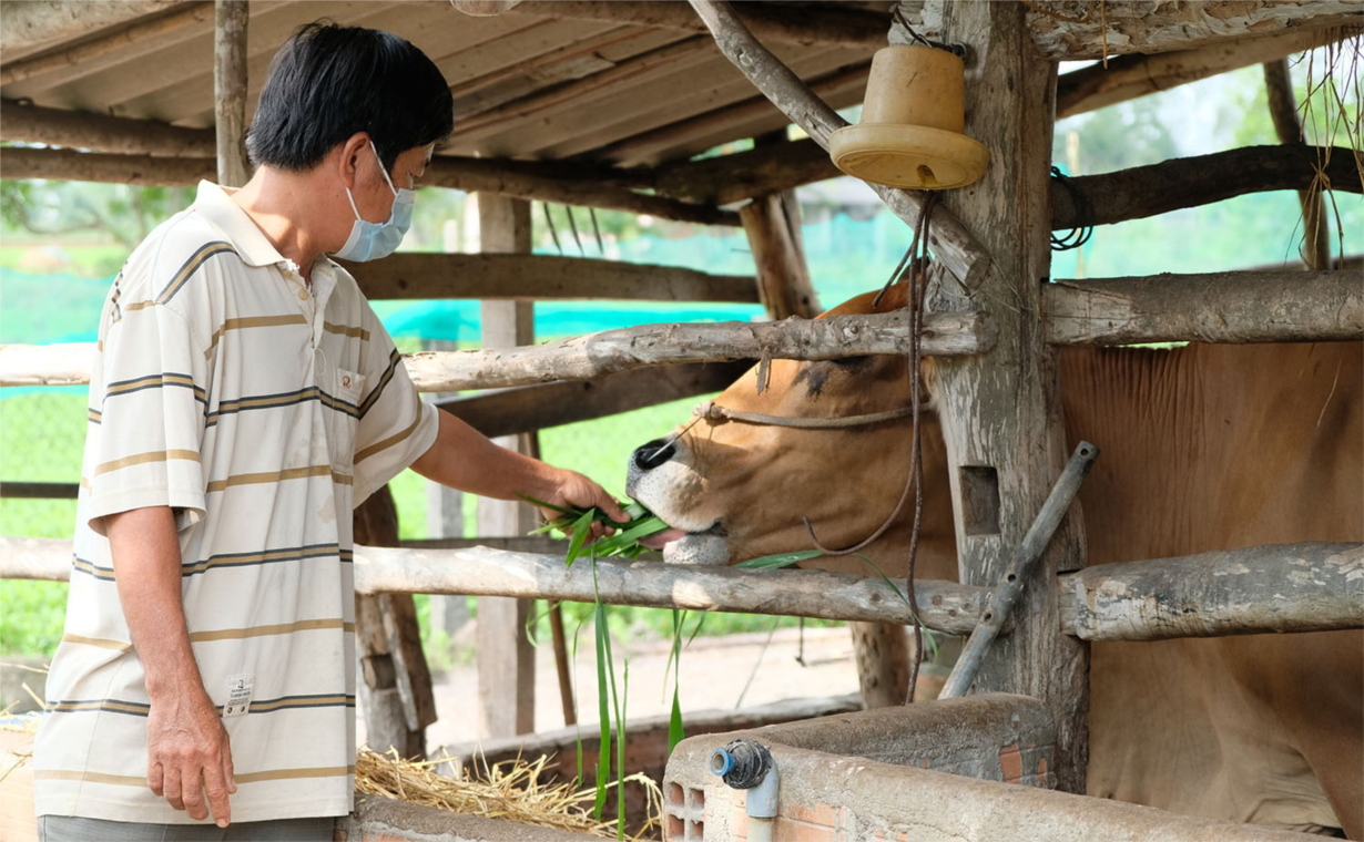 Lao động nông thôn bị ảnh hưởng dịch Covid-19 mạnh dạn vay vốn chuyển đổi nghề (22/2/2022)